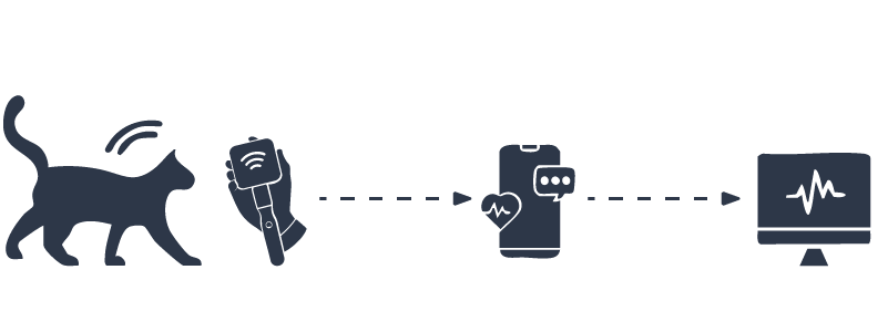Illustration showing the operation of BioVetSensor, BioPetReader, and BioPet+