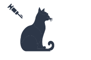 Illustration of implant placement by the veterinarian